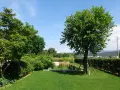 Un giardino curato con prato verde, siepi e diversi alberi da giardino.