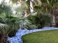 Giardino tropicale con palme rigogliose, ghiaia azzurra e prato verde. Belle idee giardino con palme per un'oasi di pace.