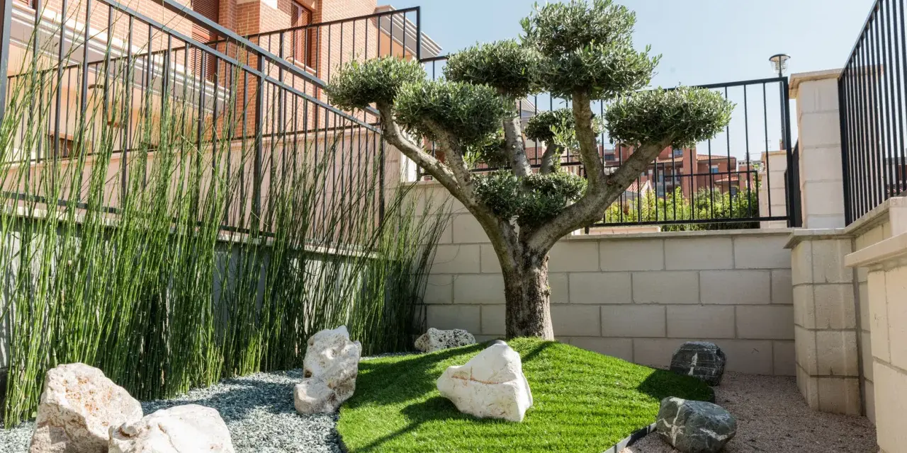Giardino zen con ulivo bonsai, erba sintetica, pietre bianche e ghiaia. Idee aiuola con ulivo per un angolo di pace.