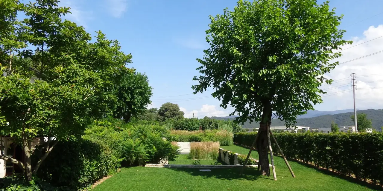Un giardino curato con prato verde, siepi e diversi alberi da giardino.