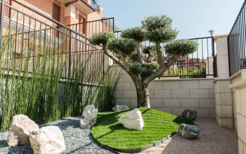 Giardino zen con ulivo bonsai, erba sintetica, pietre bianche e ghiaia. Idee aiuola con ulivo per un angolo di pace.