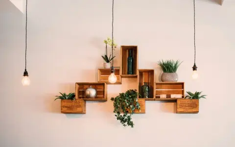 Come posizionare i cubi a muro: una composizione creativa con piante, bottiglie e decorazioni su mensole di legno.
