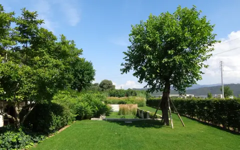 Un giardino curato con prato verde, siepi e diversi alberi da giardino.