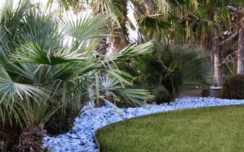 Giardino tropicale con palme rigogliose, ghiaia azzurra e prato verde. Belle idee giardino con palme per un'oasi di pace.