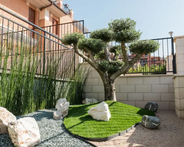 Giardino zen con ulivo bonsai, erba sintetica, pietre bianche e ghiaia. Idee aiuola con ulivo per un angolo di pace.