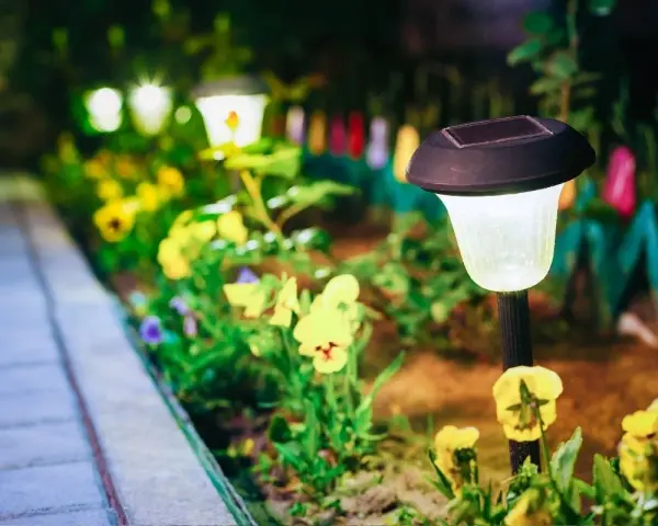 Giardino illuminato da lampade solari, un'idea per il tuo giardino fai da te a costo zero. Fiori gialli e viola illuminano il sentiero.
