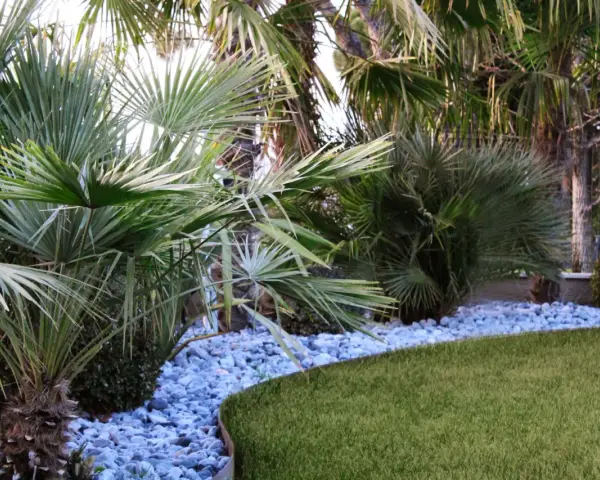 Giardino tropicale con palme rigogliose, ghiaia azzurra e prato verde. Belle idee giardino con palme per un'oasi di pace.
