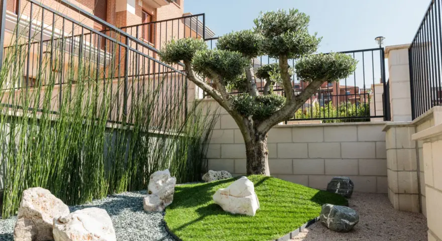 Giardino zen con ulivo bonsai, erba sintetica, pietre bianche e ghiaia. Idee aiuola con ulivo per un angolo di pace.