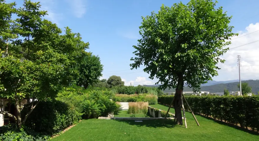 Un giardino curato con prato verde, siepi e diversi alberi da giardino.