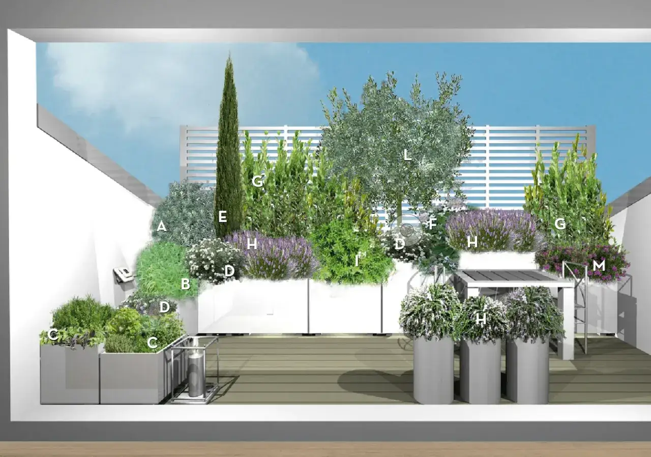 Un terrazzo moderno con piante mediterranee, lavanda e un ulivo, perfetto per arredare con stile e profumo.