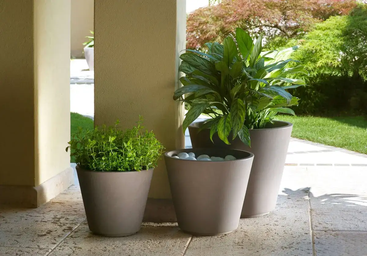 Vasi con piante verdi, un modo semplice per come abbellire un giardino con pochi soldi.