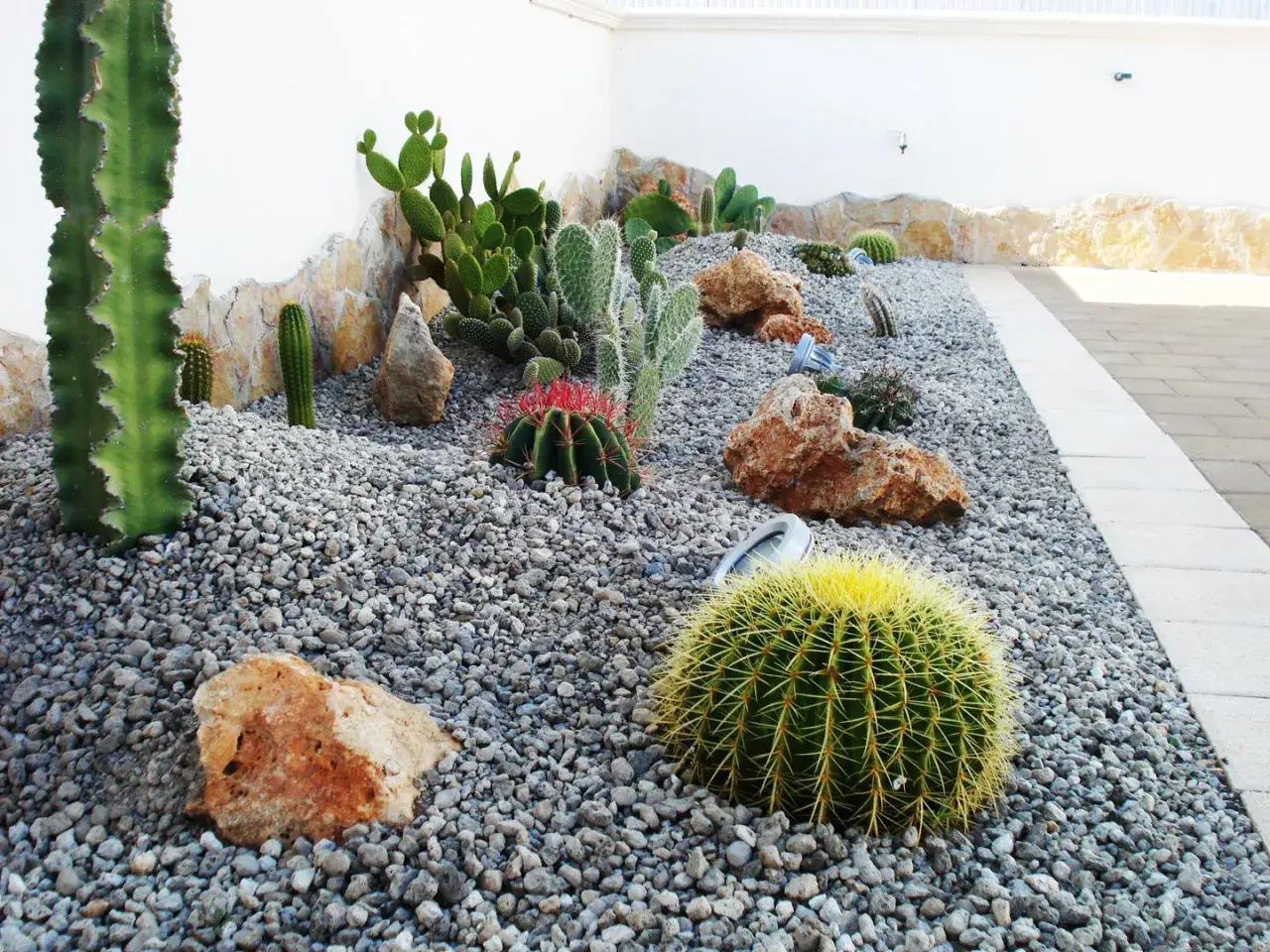 Giardini idee da copiare: un'oasi di cactus e rocce su ghiaia. Perfetto per chi ama il design moderno e la bassa manutenzione.