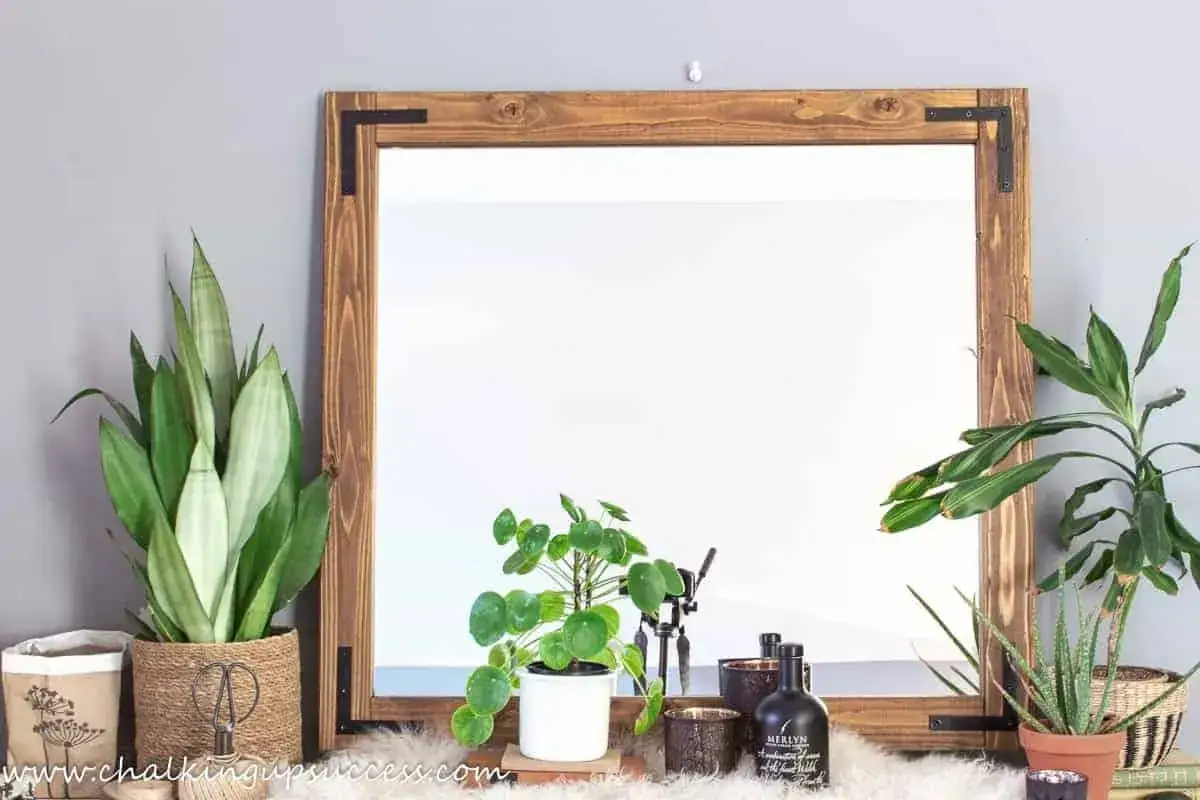 Specchio con cornice in legno grezzo, un'idea per una cornice specchio fai da te. Piante verdi e decorazioni completano l'arredo.