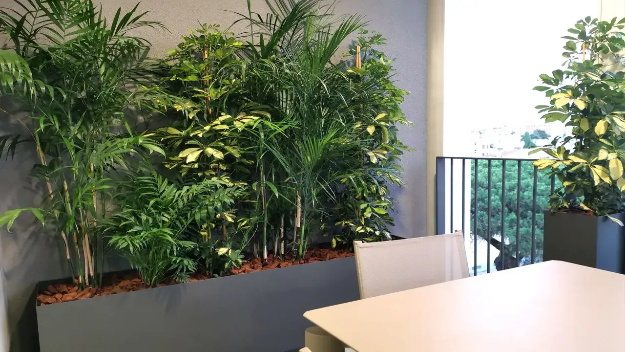 Verde lussureggiante e rigoglioso per le decorazioni del terrazzo, con palme e piante tropicali in un'aiuola moderna.