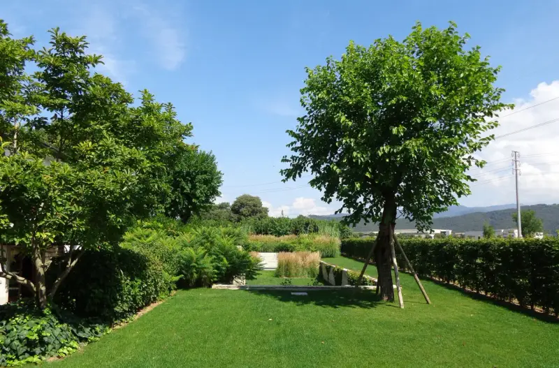 Un giardino curato con prato verde, siepi e diversi alberi da giardino.